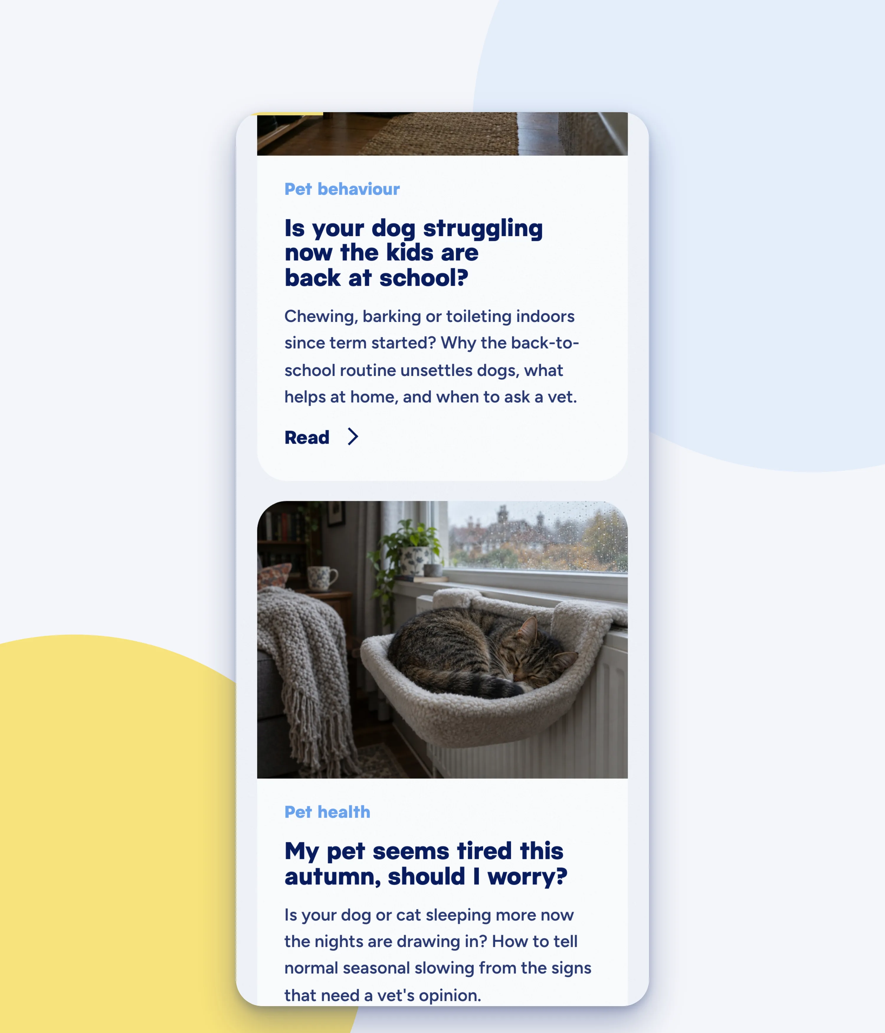 The Pet advice articles on a phone