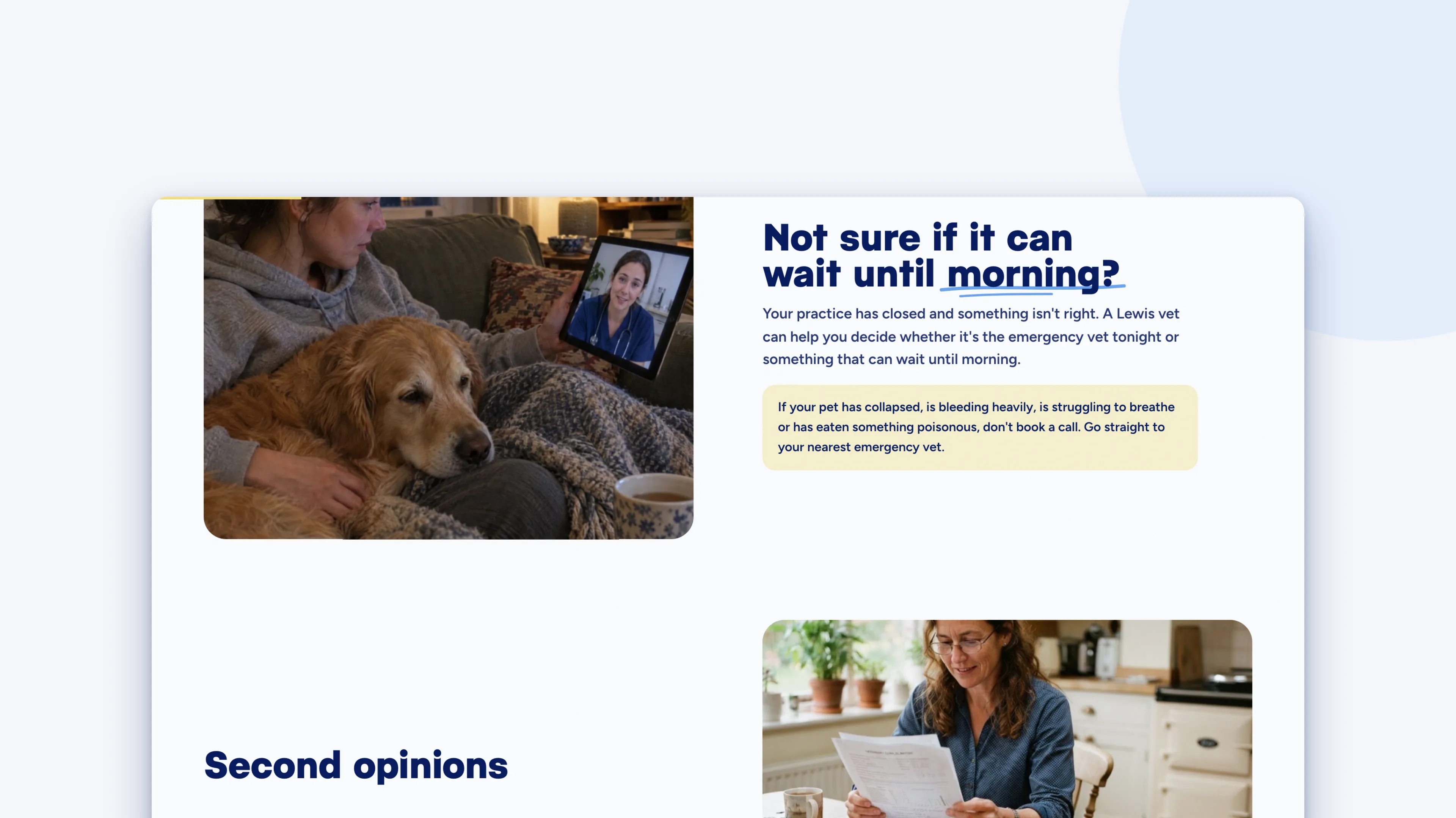 The Consultations page, with photography of pets at home